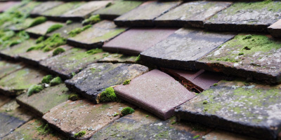 Goldcliff roof repair costs
